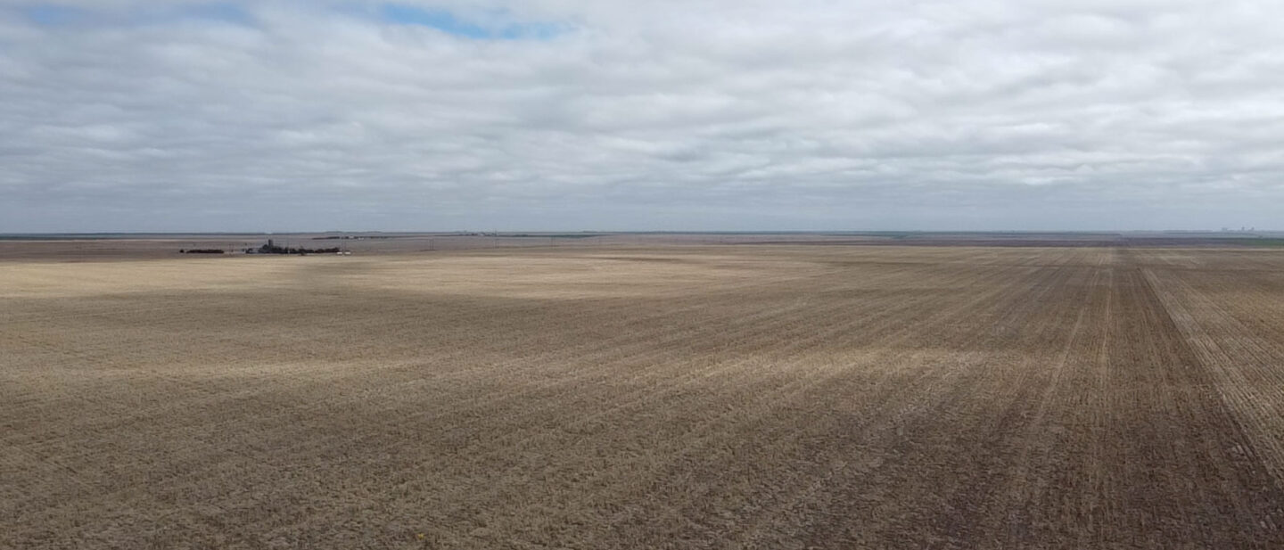 2026 03 06 09 42 35 202