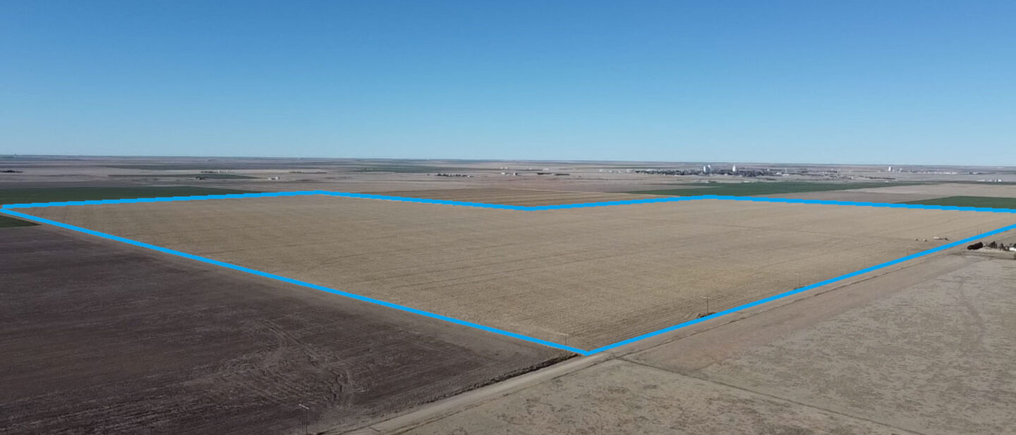 2026 03 08 09 17 28 512