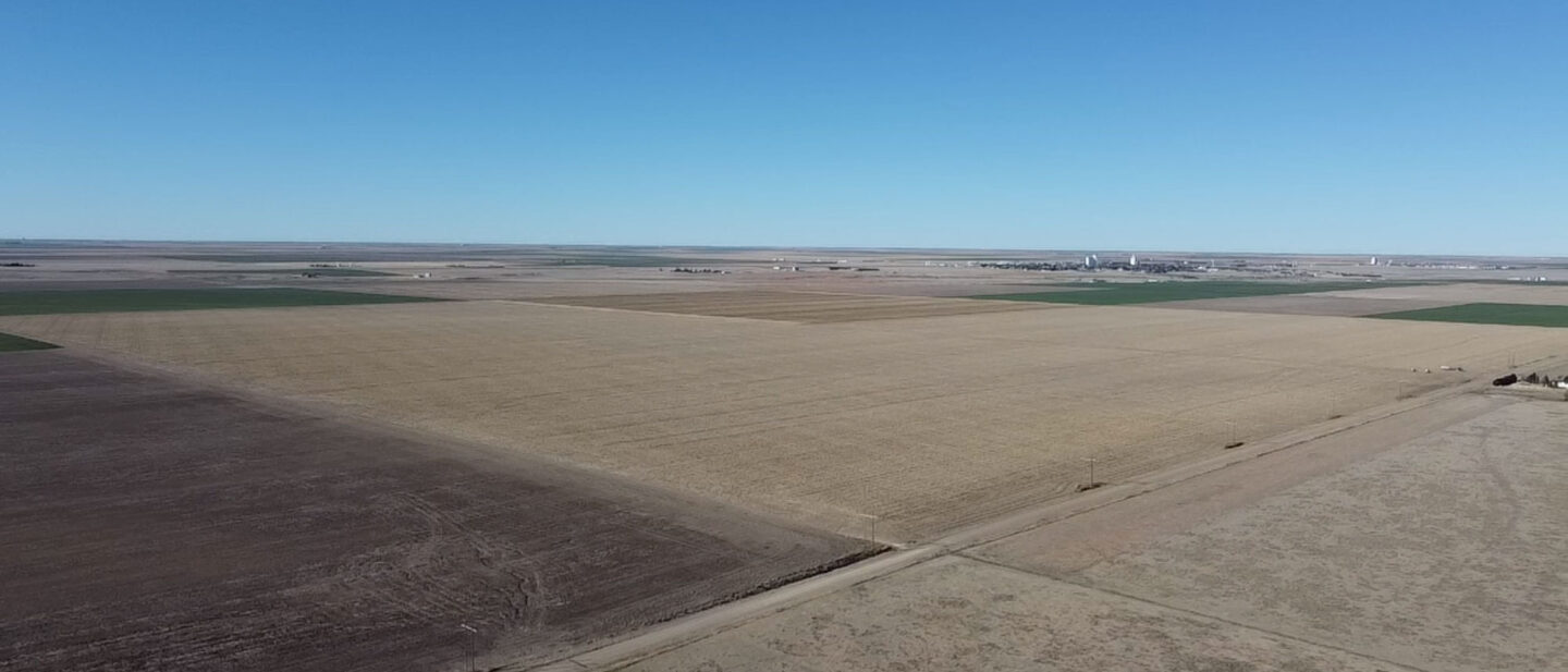 2026 03 08 09 17 28 612