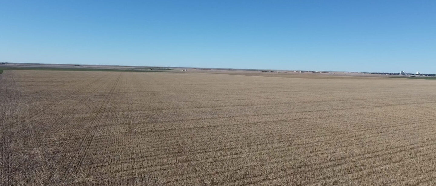 2026 03 08 09 19 02 741