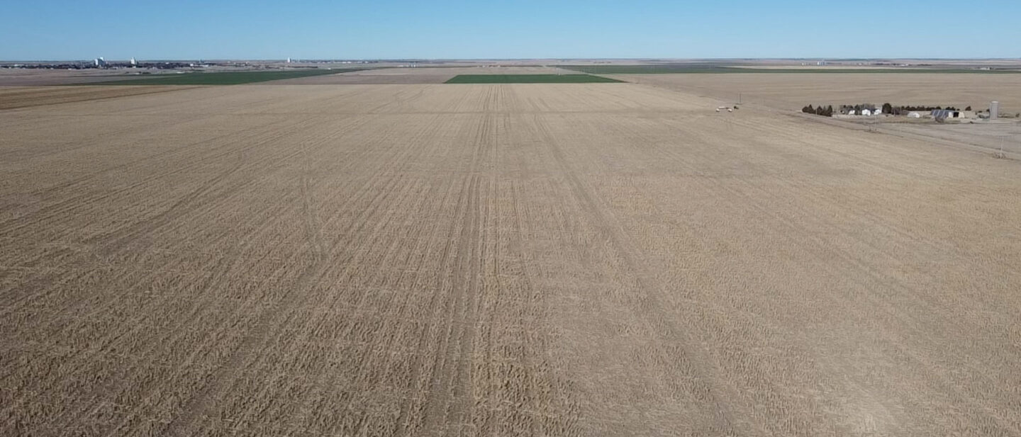 2026 03 08 09 19 35 546