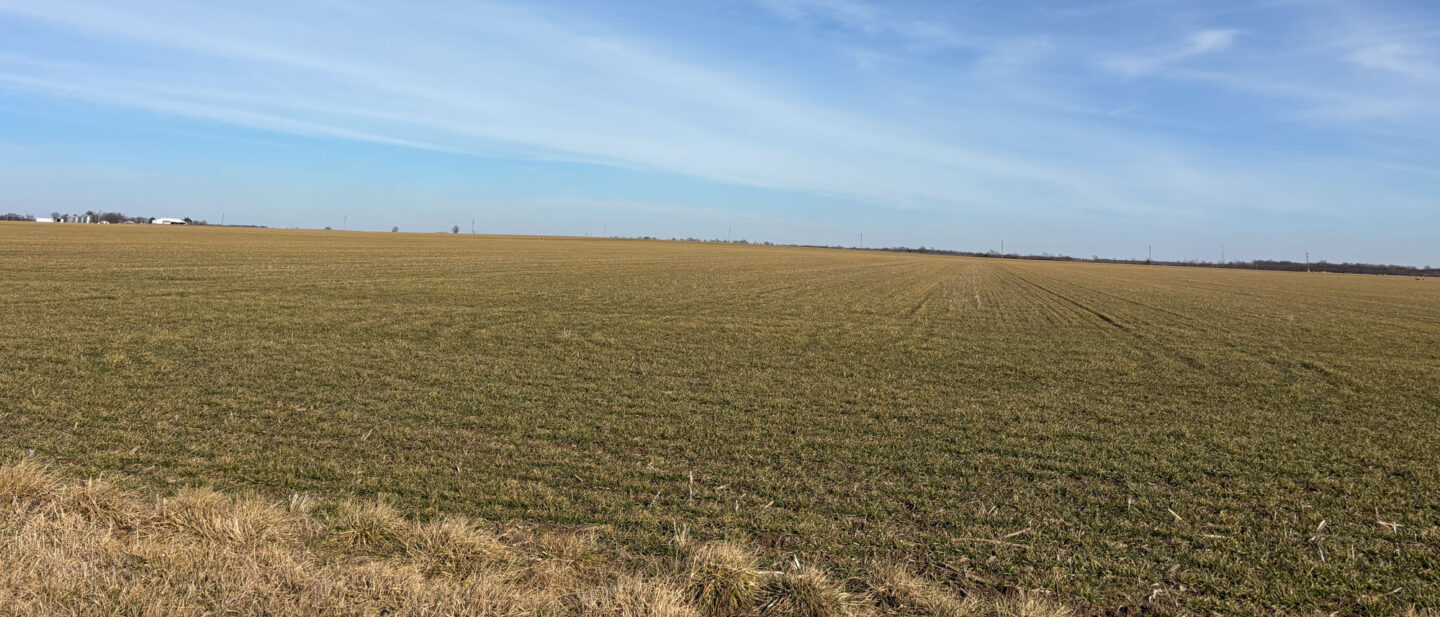 20260211 205027592 i OS