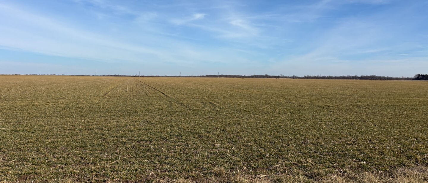 20260211 205028709 i OS