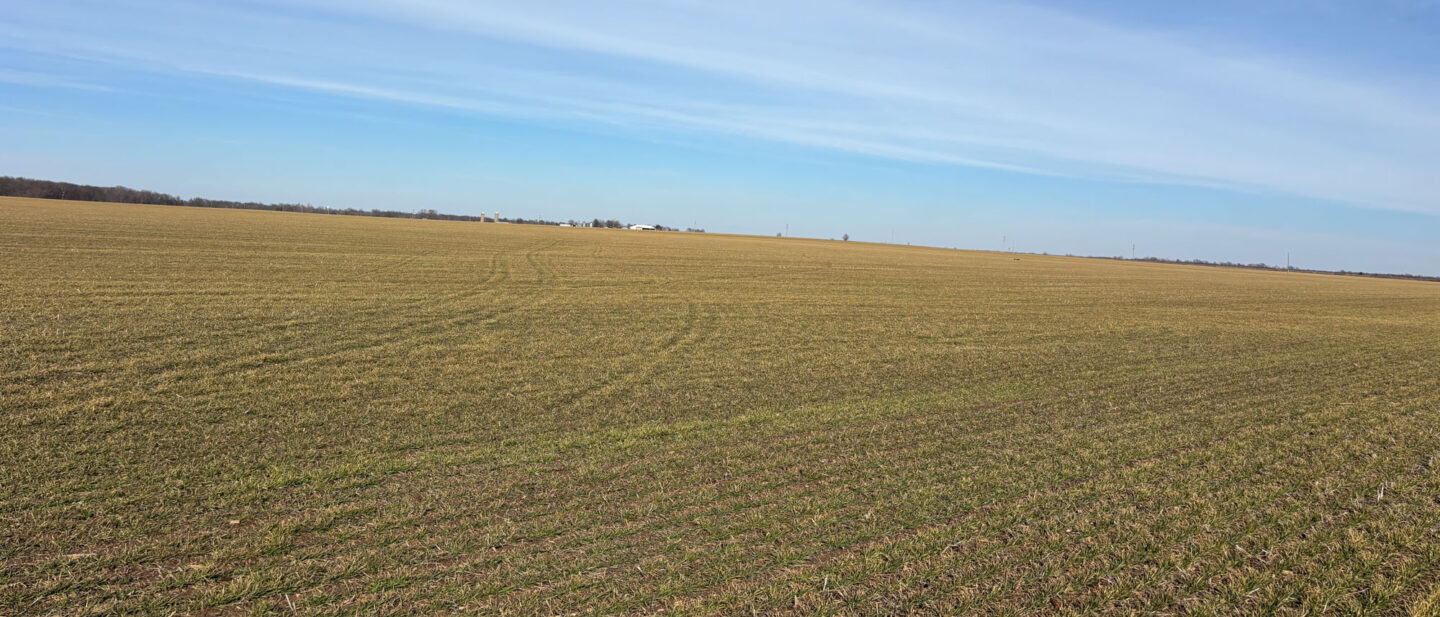 20260211 205132127 i OS