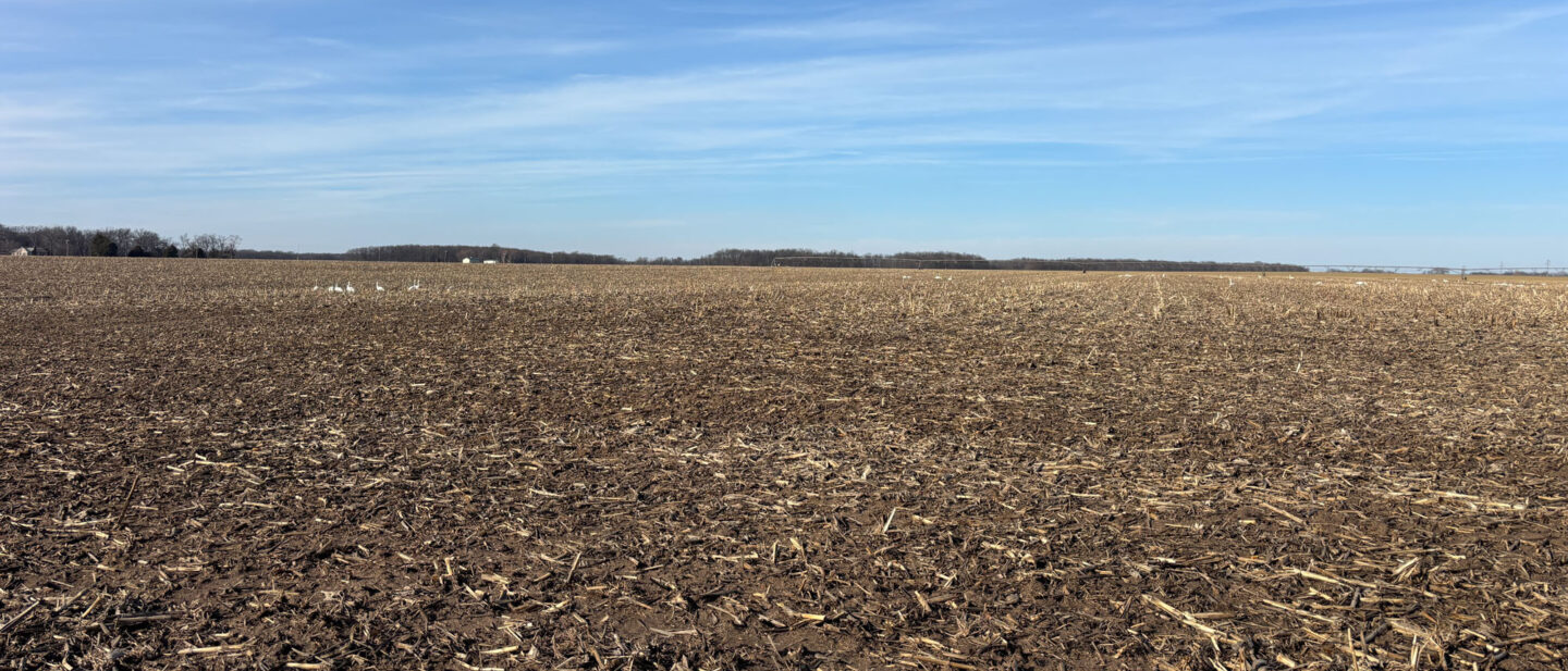 20260211 205746998 i OS