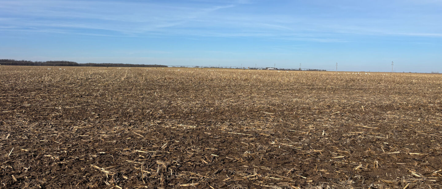 20260211 205748581 i OS