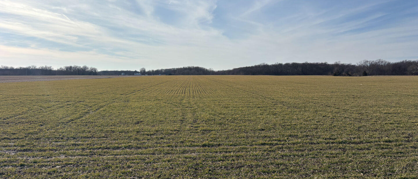 20260211 210339826 i OS