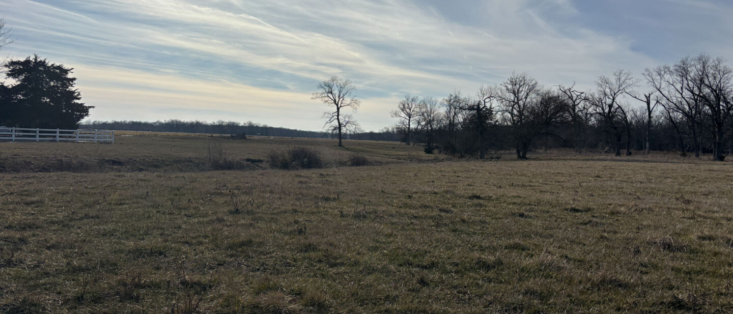 20260211 210739088 i OS