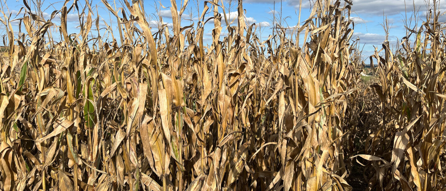 20260923 213333047 i OS