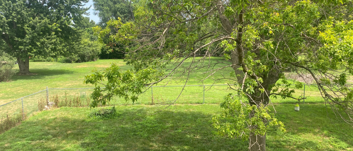 28 IMG 7821