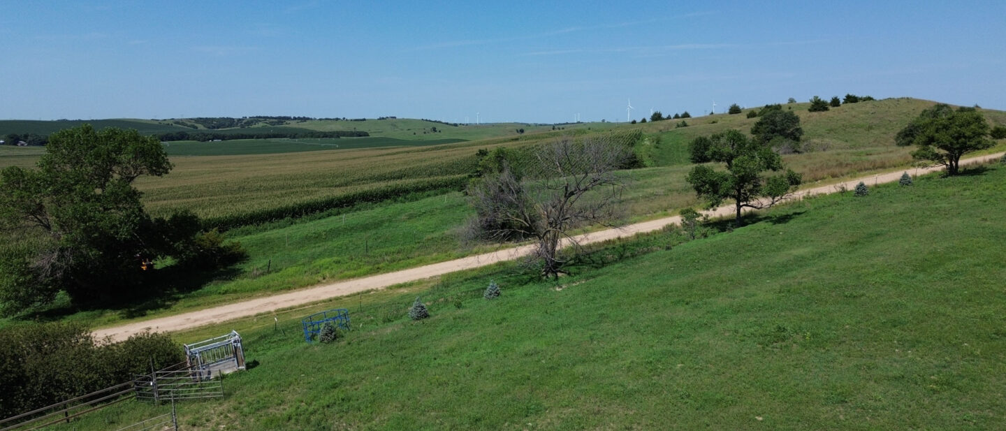 29 DJI 0051