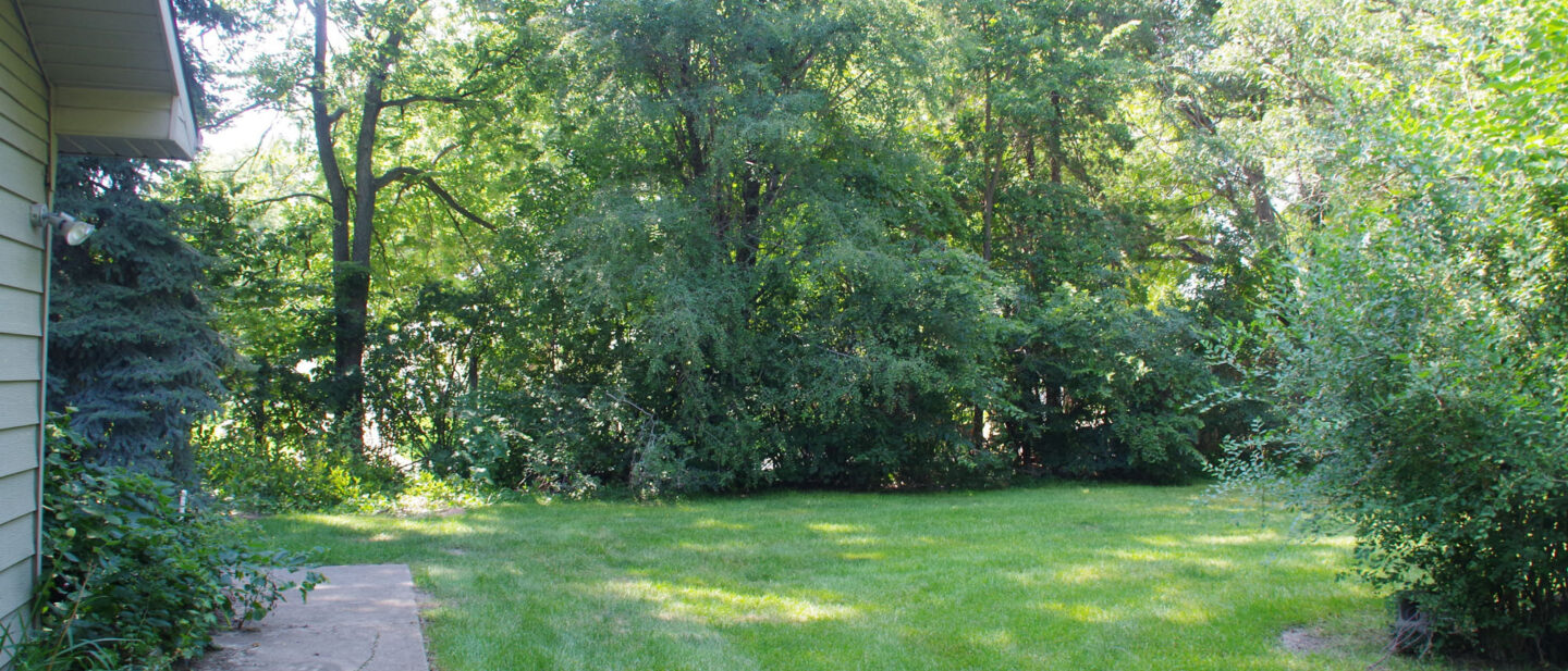 29 IMGP0019