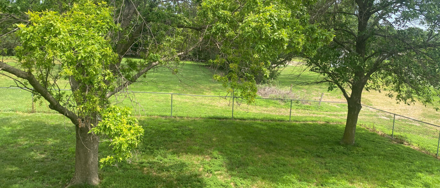 29 IMG 7822