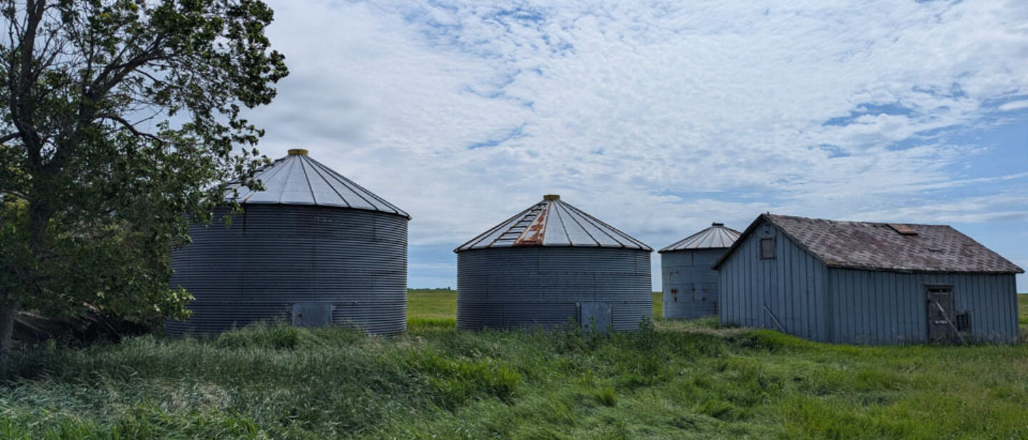 3 Bins and shed