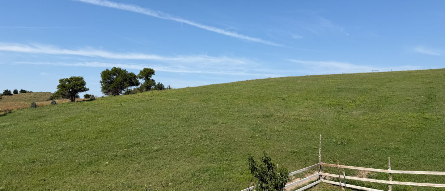 31 IMG 8037