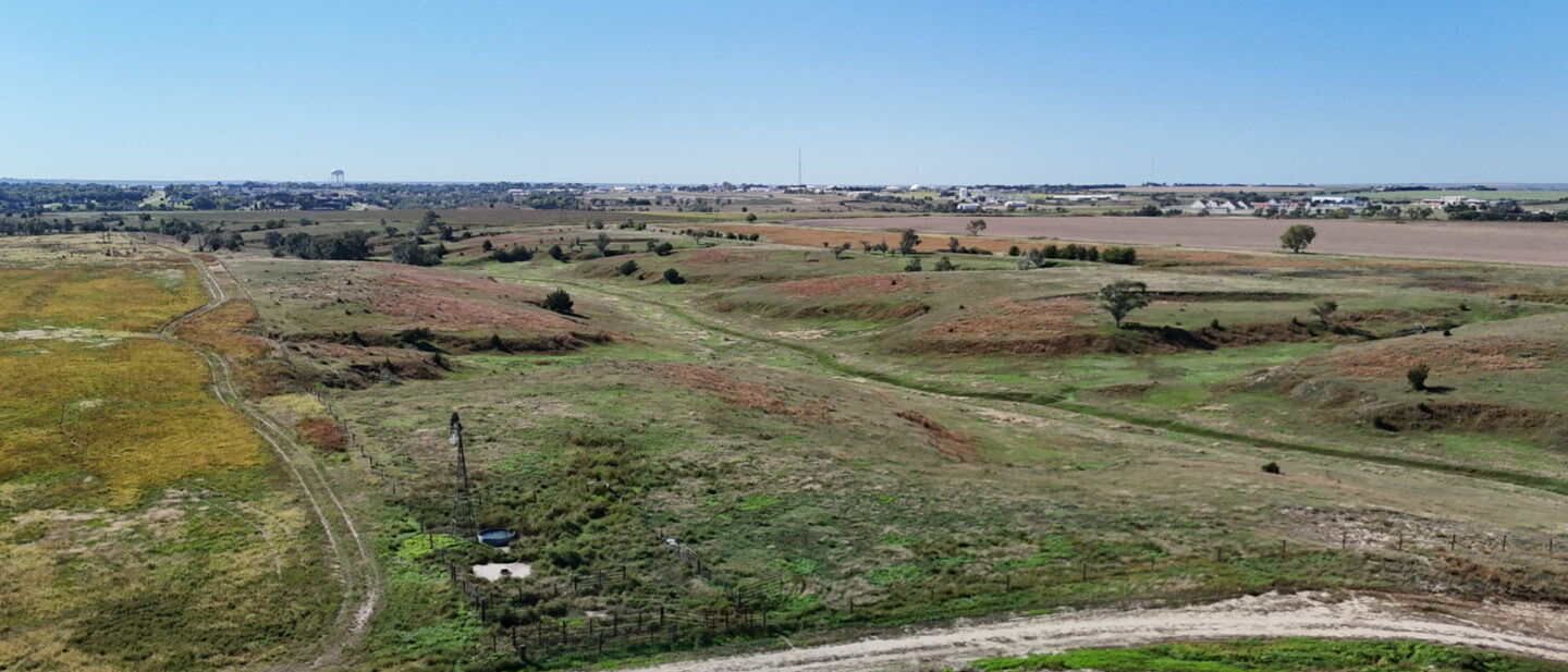 4 Pasture