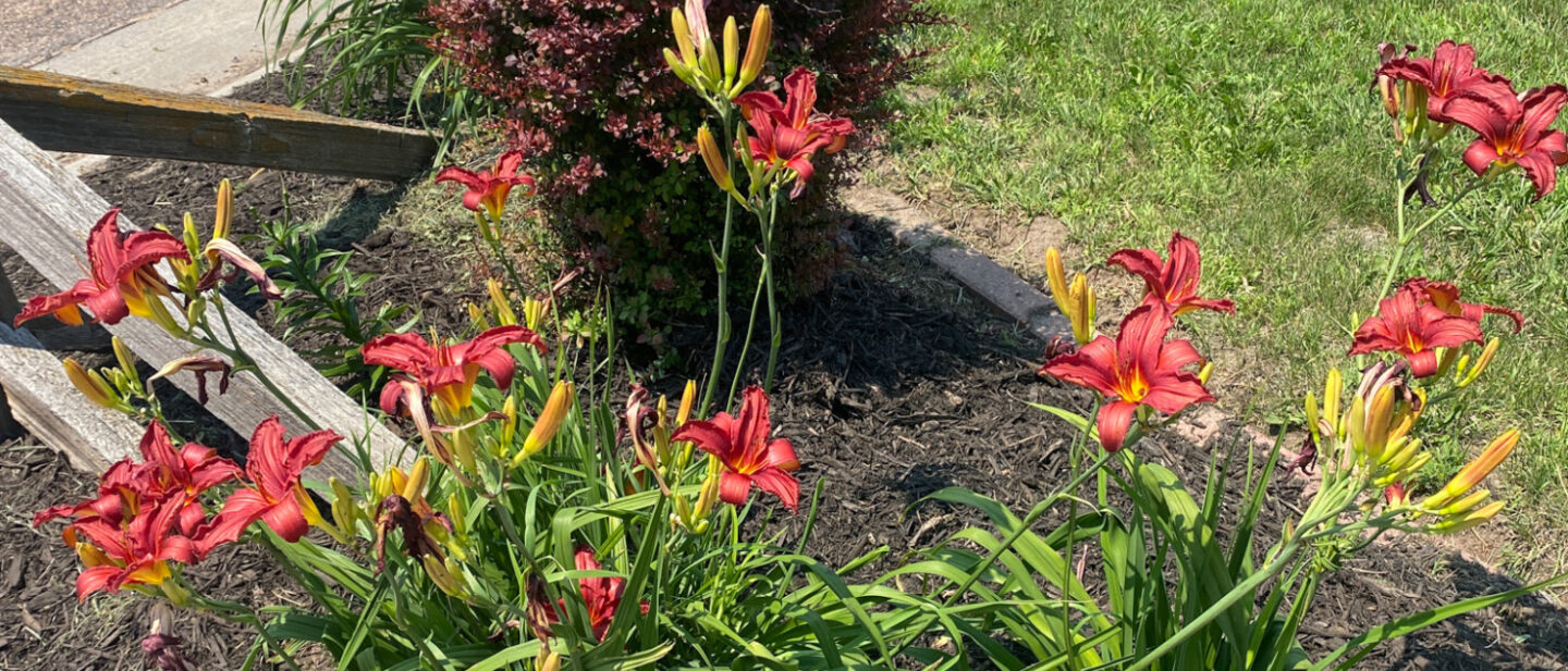 41 IMG 7570