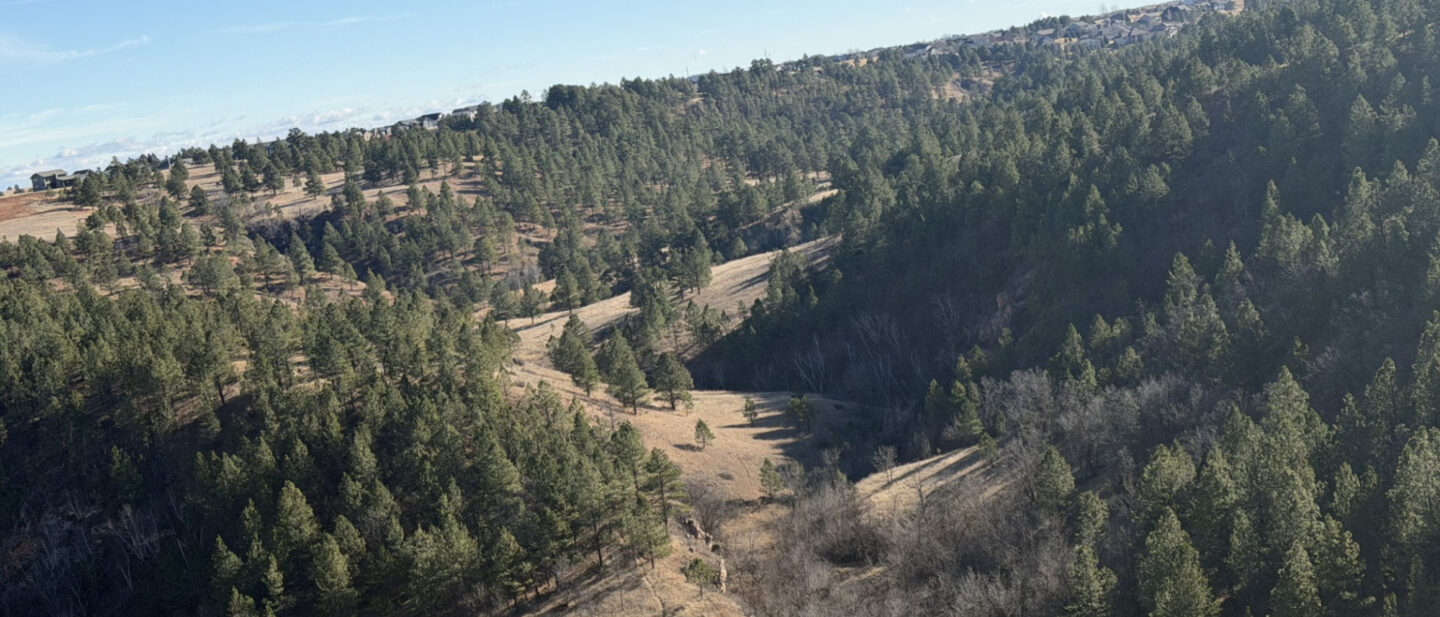 49e2fe96 a777 417a 8de6 6366763a718b