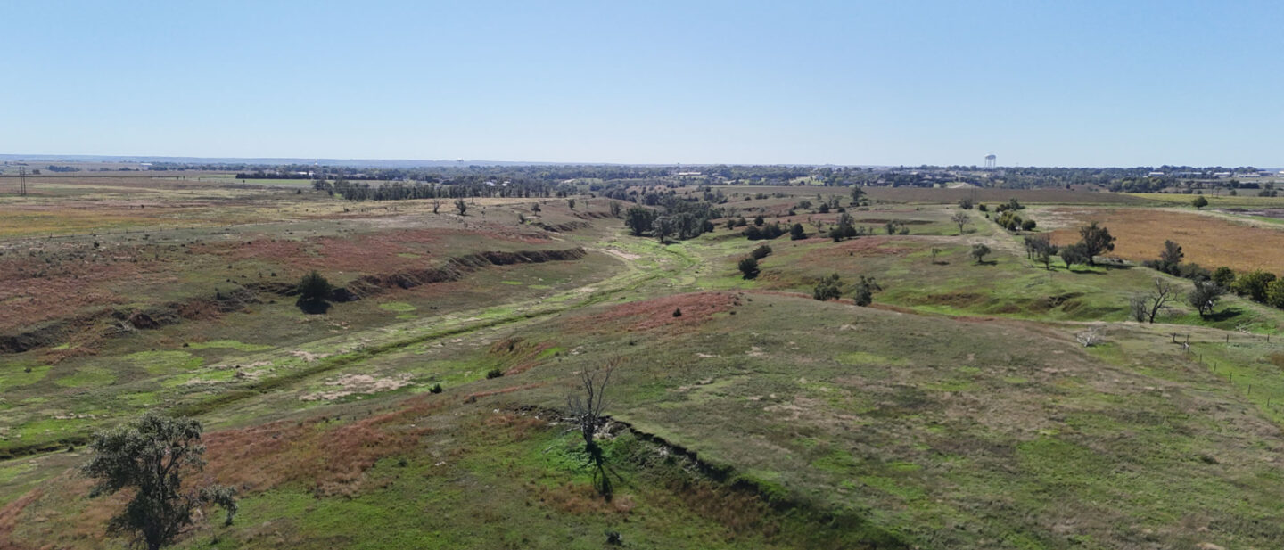 5 Pasture