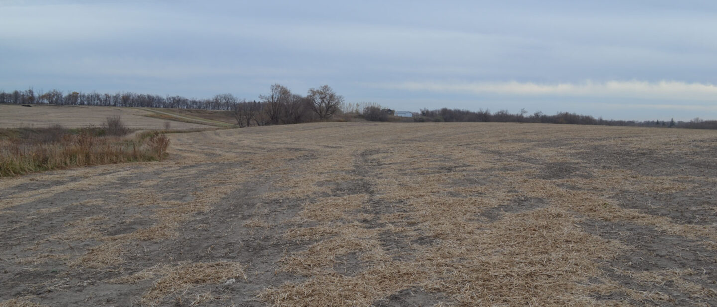 5 viewing southeast from northern portion