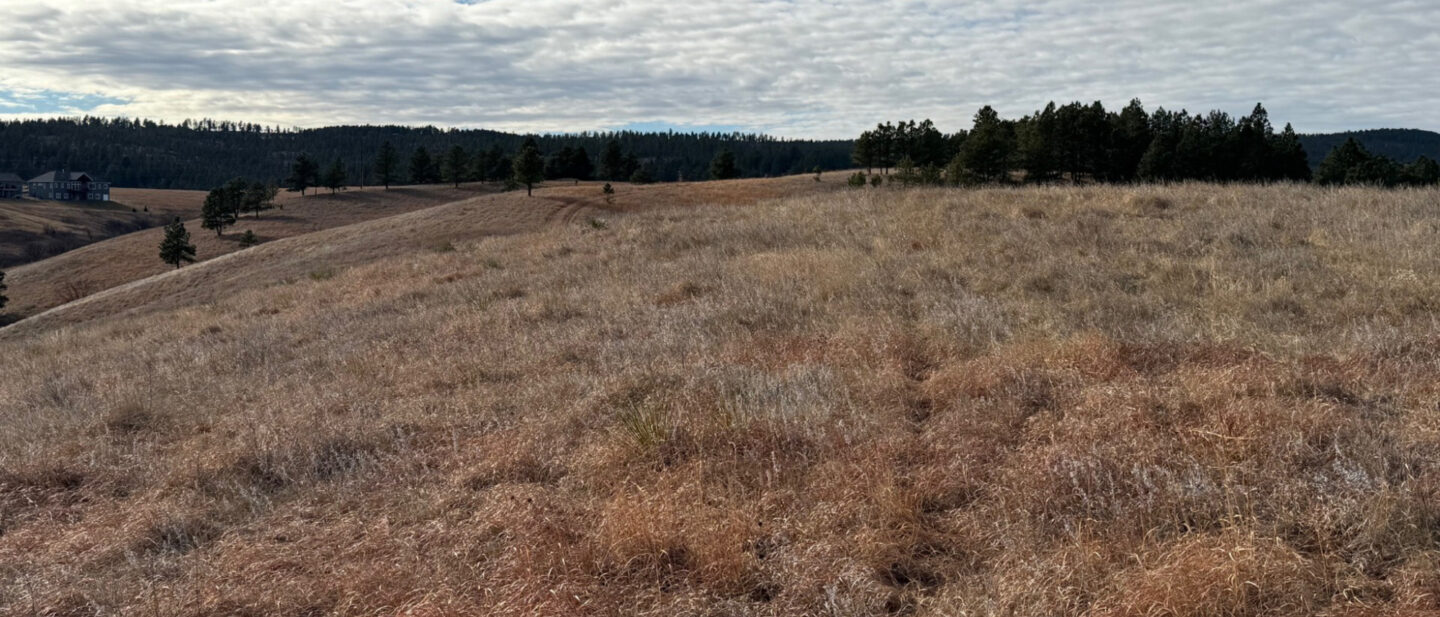 6239622d 76d2 425f 9257 dd9ea87e64e5