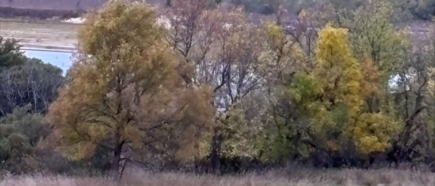 65 DB68 E1 B453 44 D6 BFCF 1 CA46907 FCC7