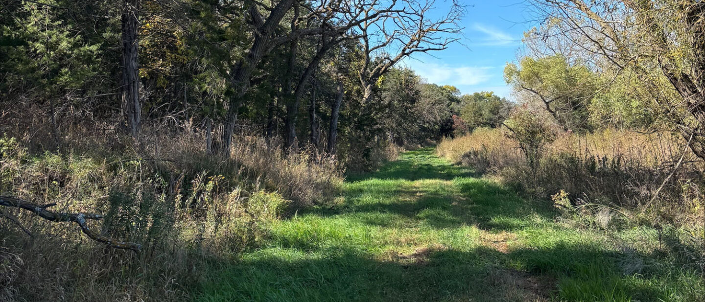 71 C38 C2 E 7297 49 D4 95 DF 91 BDBBC09 F1 C