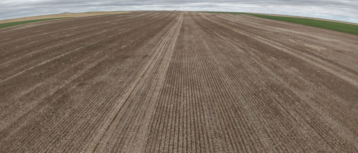 7 A Wheat Stubble Residue