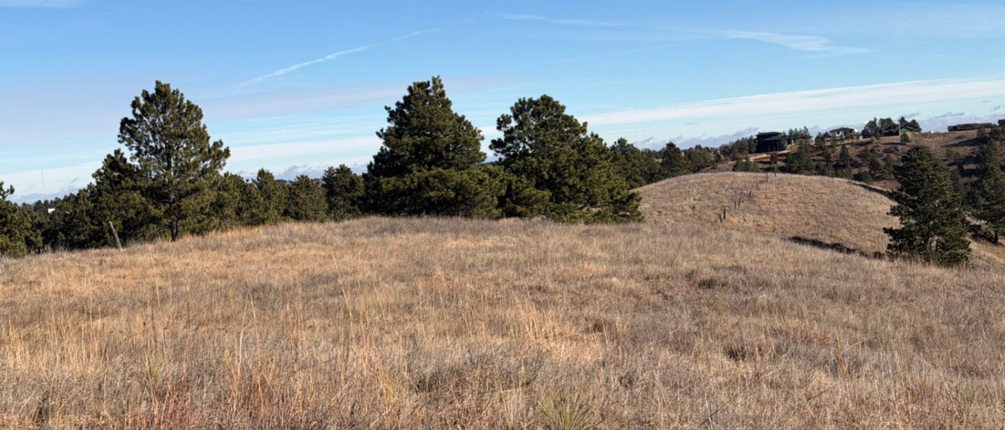 873b4aba 19d5 49b8 9c1c eb320133d8b2