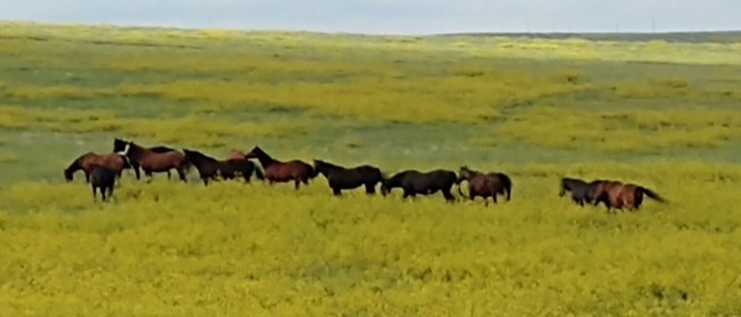 8d318b53 583f 45c4 a9cc 29abbb7f3cb4