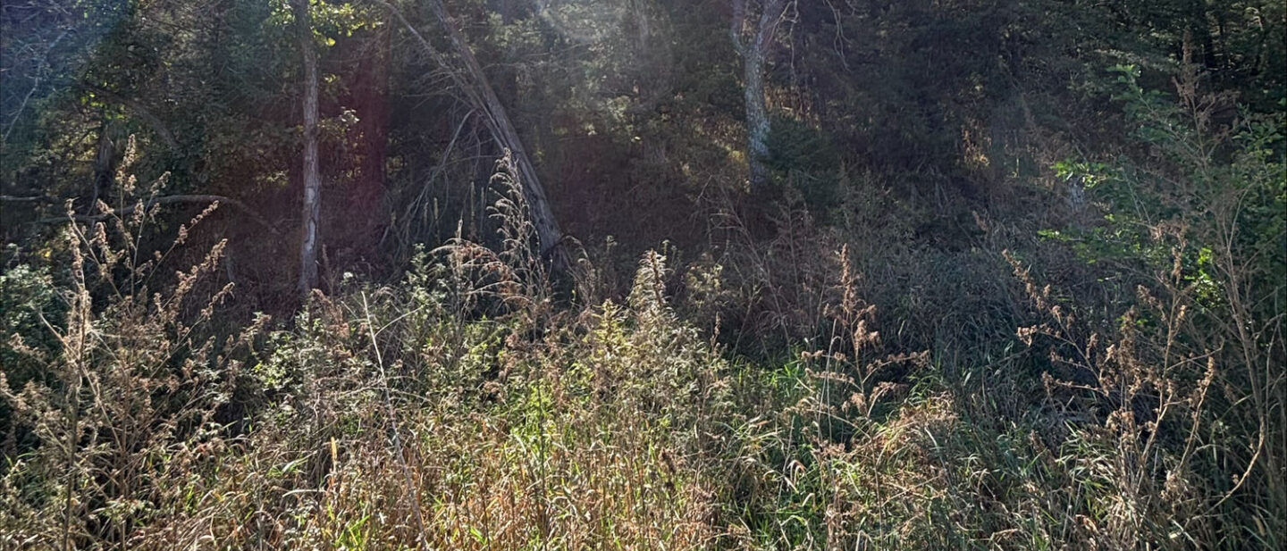 900 ECF3 C 9918 4 DF6 9940 4 AEFF378359 D