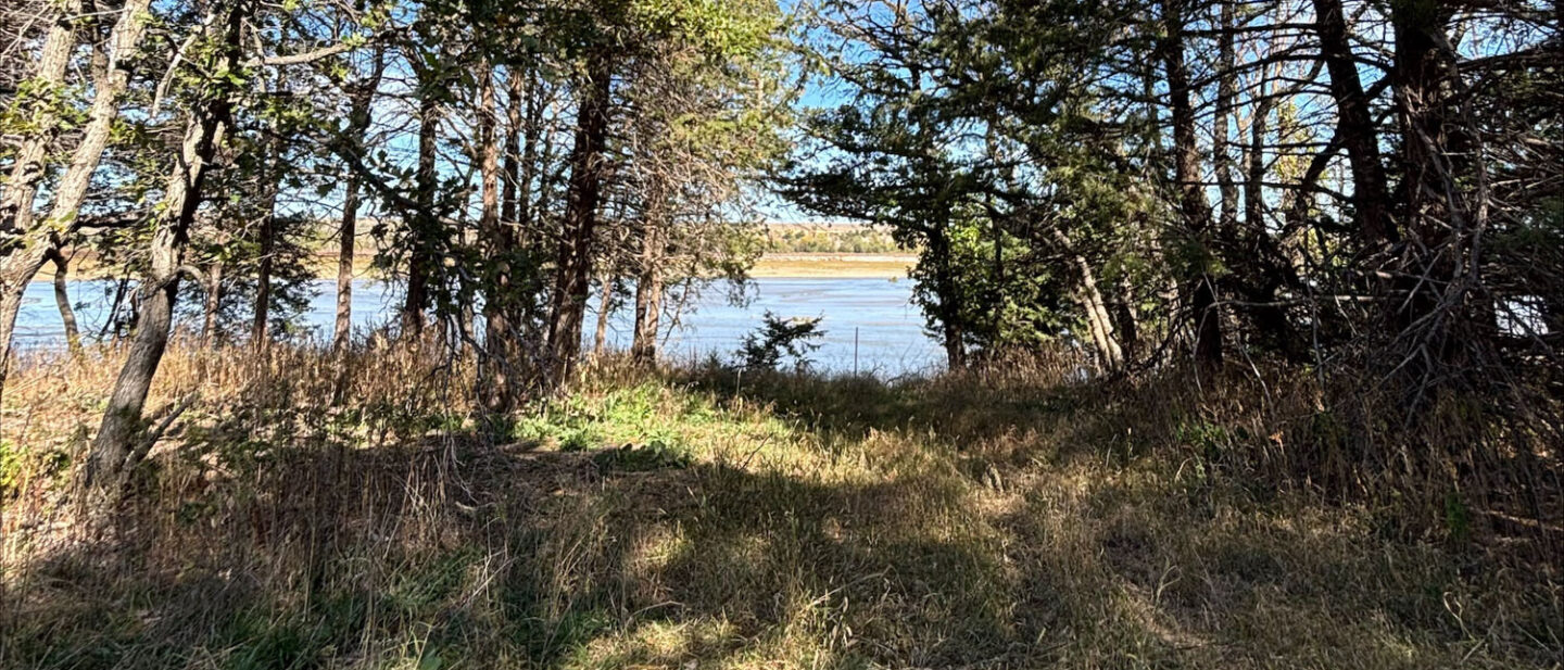 932 B2 F43 DFF5 496 C A186 73077 BA42 FD0