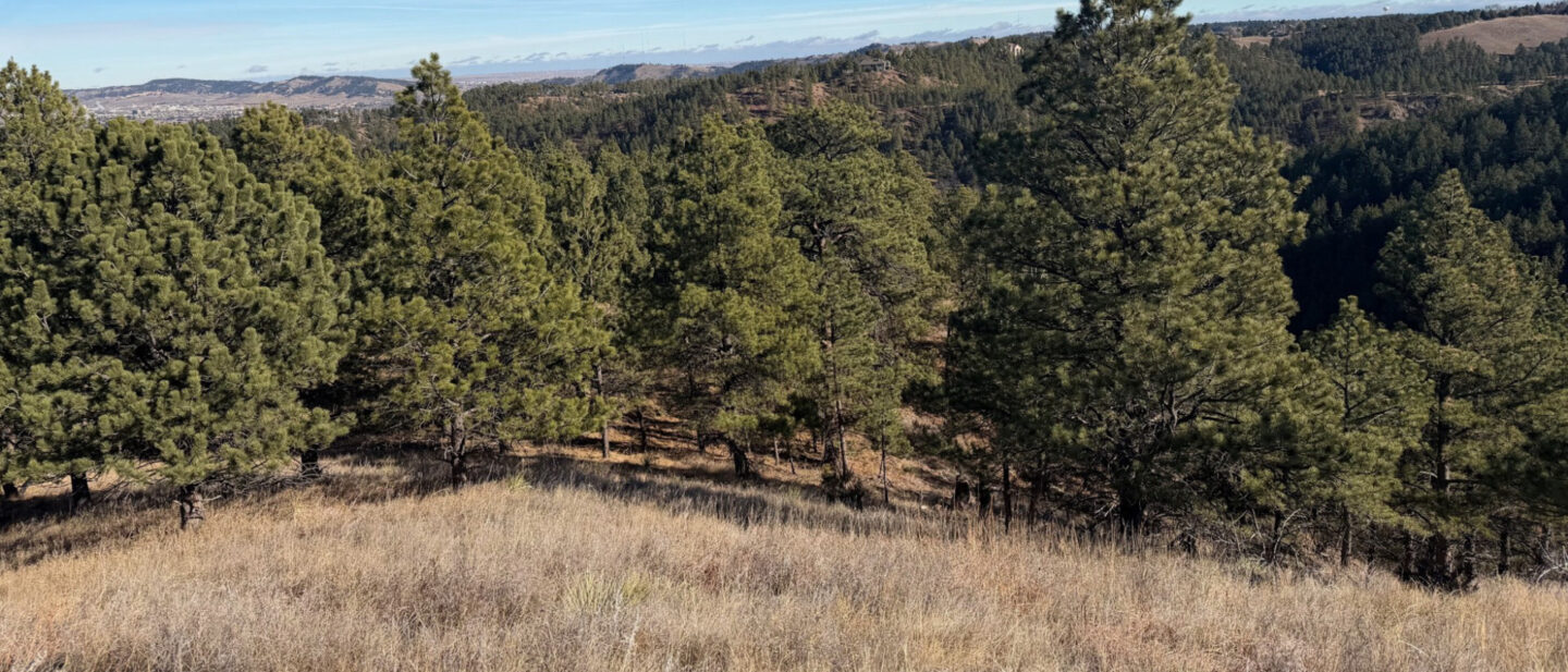 95934403 cfa6 429b af46 8d8e3fda5b57