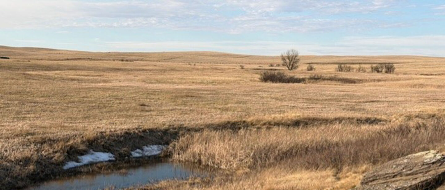 98965338 734f 4b8a b2f0 0a55fef22044