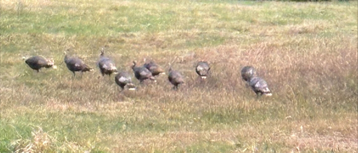 9 AC8064 B B757 4925 924 B 037 E9 E595 AA1