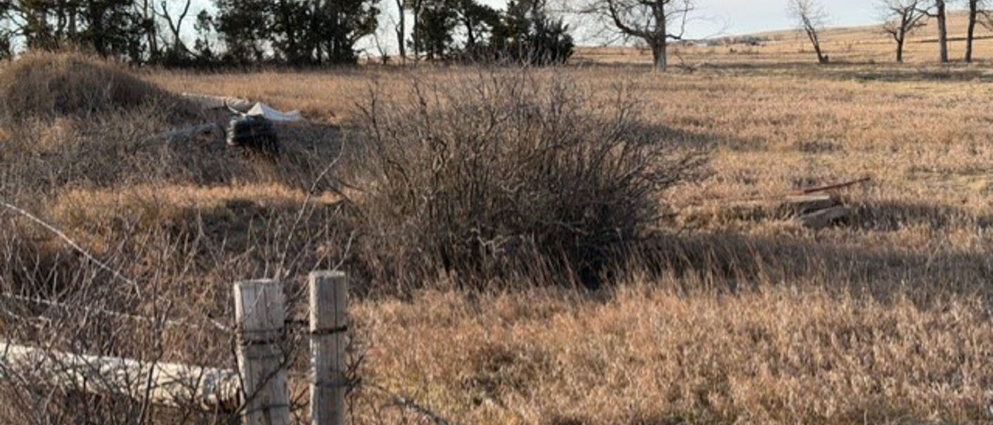 9c6cb9c4 e80e 40a1 9636 361a6c065d14