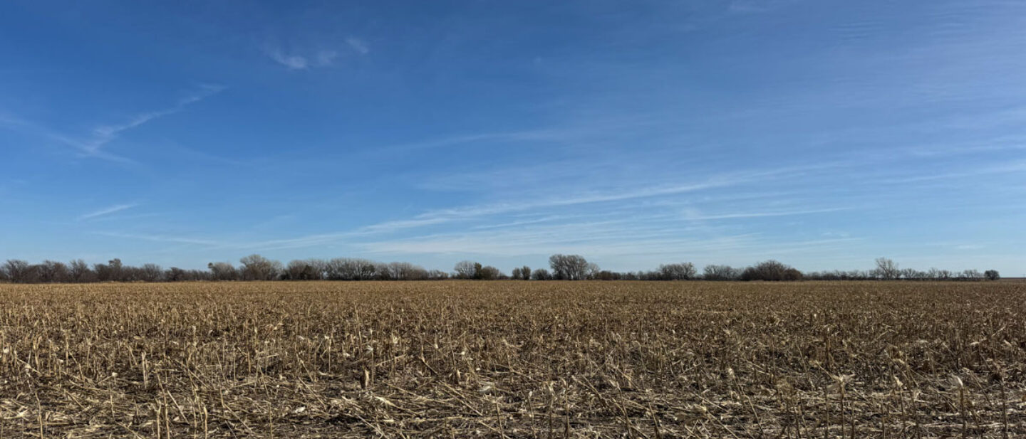 A 19426 Pawnee Co Matt Foos West Side Corn