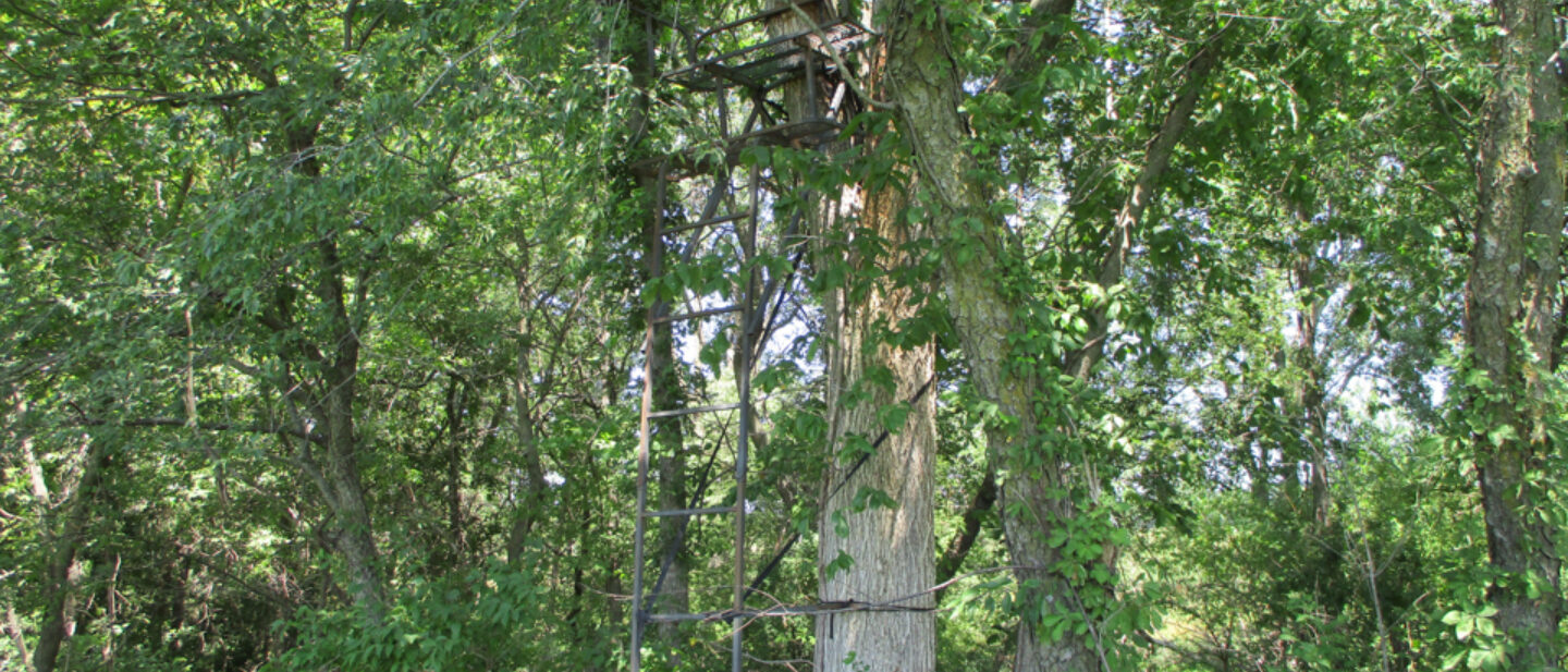 A 21752 tree stand