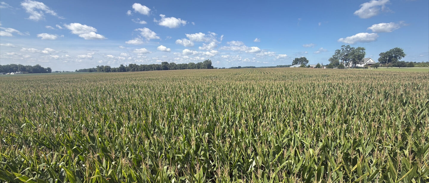 A 21896 cover photo
