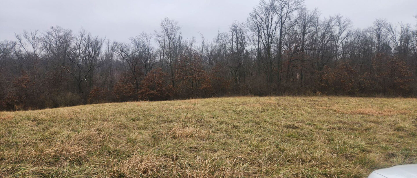 A 30522 CRP and woods