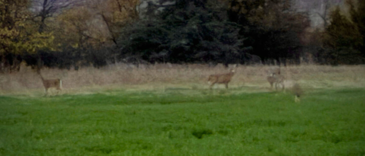 AC075 F50 8328 4 BAA B6 E6 FEB8 EE382875