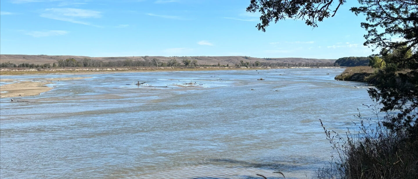 AEF485 D3 8 C33 4409 9263 1 F84 F198349 E