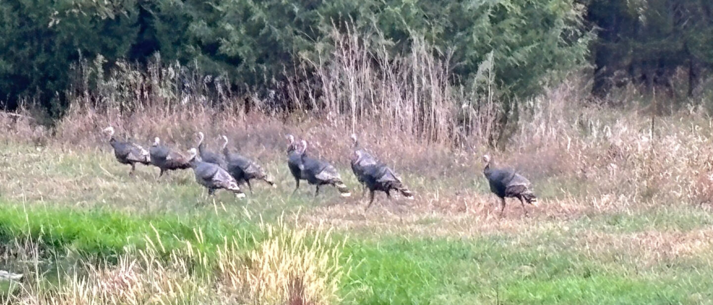 AFD60 E77 EFAC 4886 B12 D FBA26 A12 D7 F0