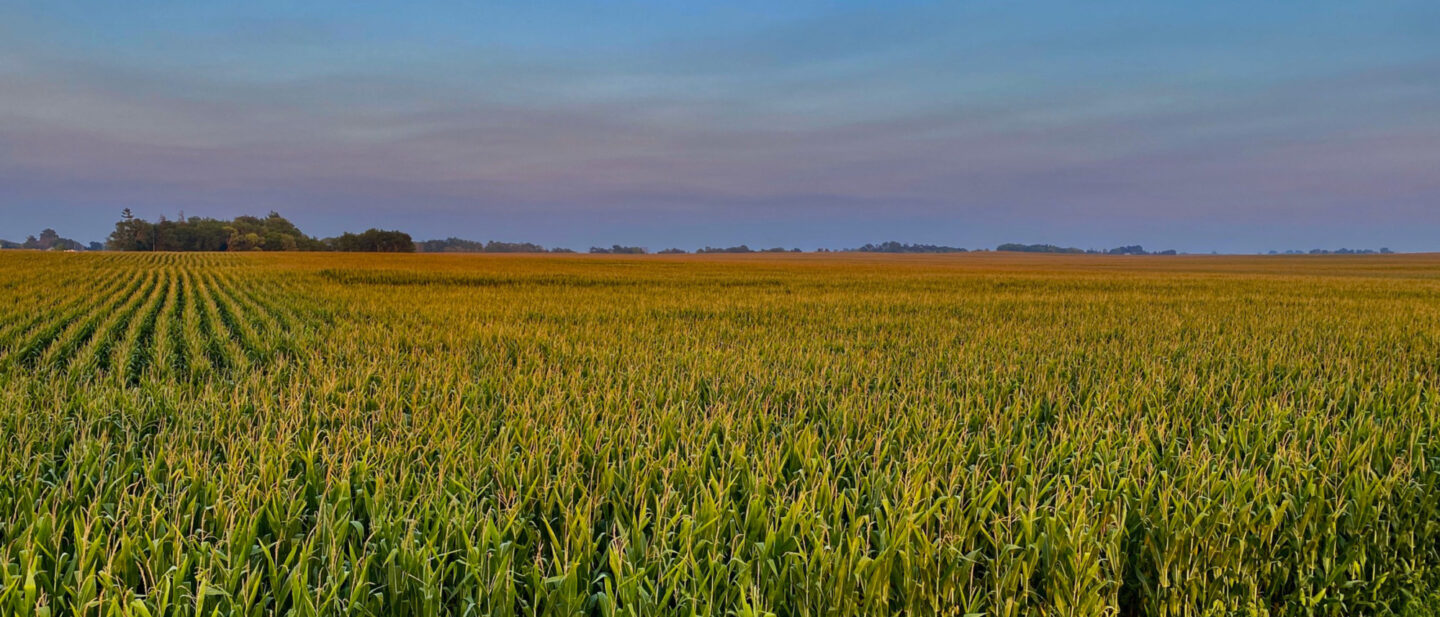 Adam Pick 3 Farm Land