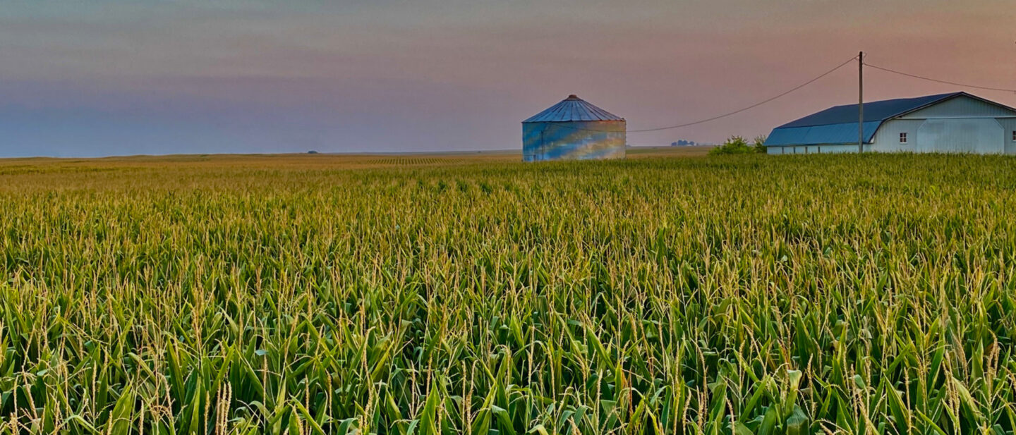 Adam Pick 4 Farm Land