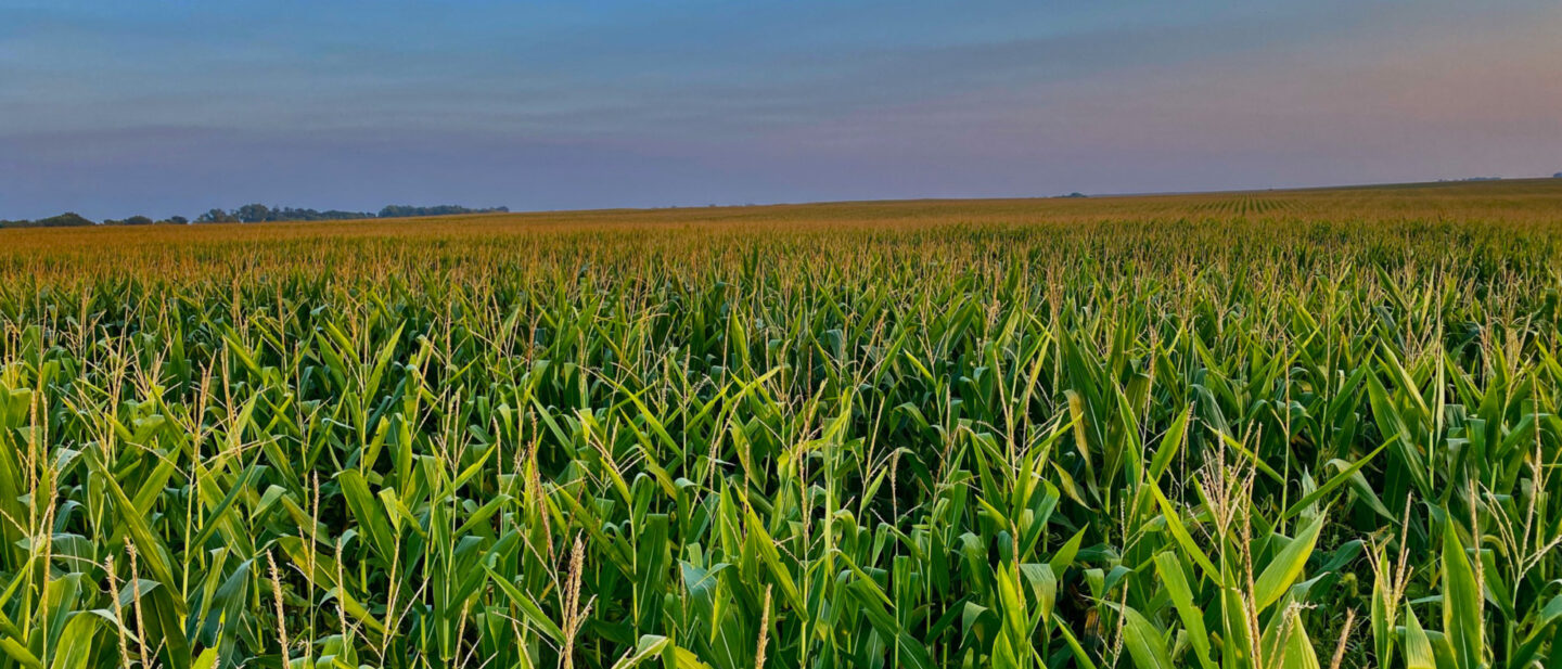 Adam Pick 5 Farm Land