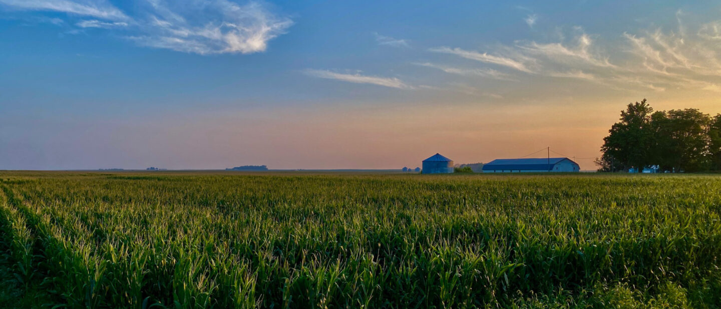 Adam Pick 7 Farm Land