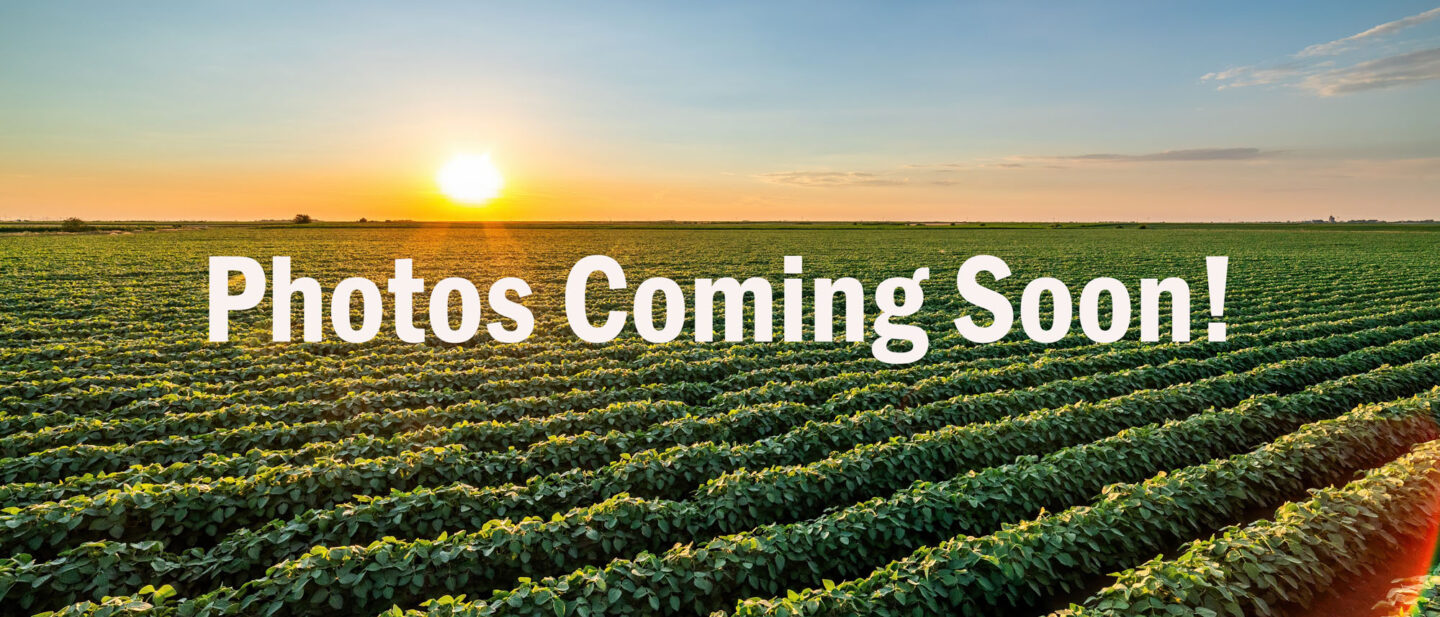 Adobe Stock 1102550188