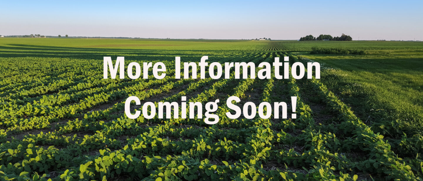 Adobe Stock 186457173 2