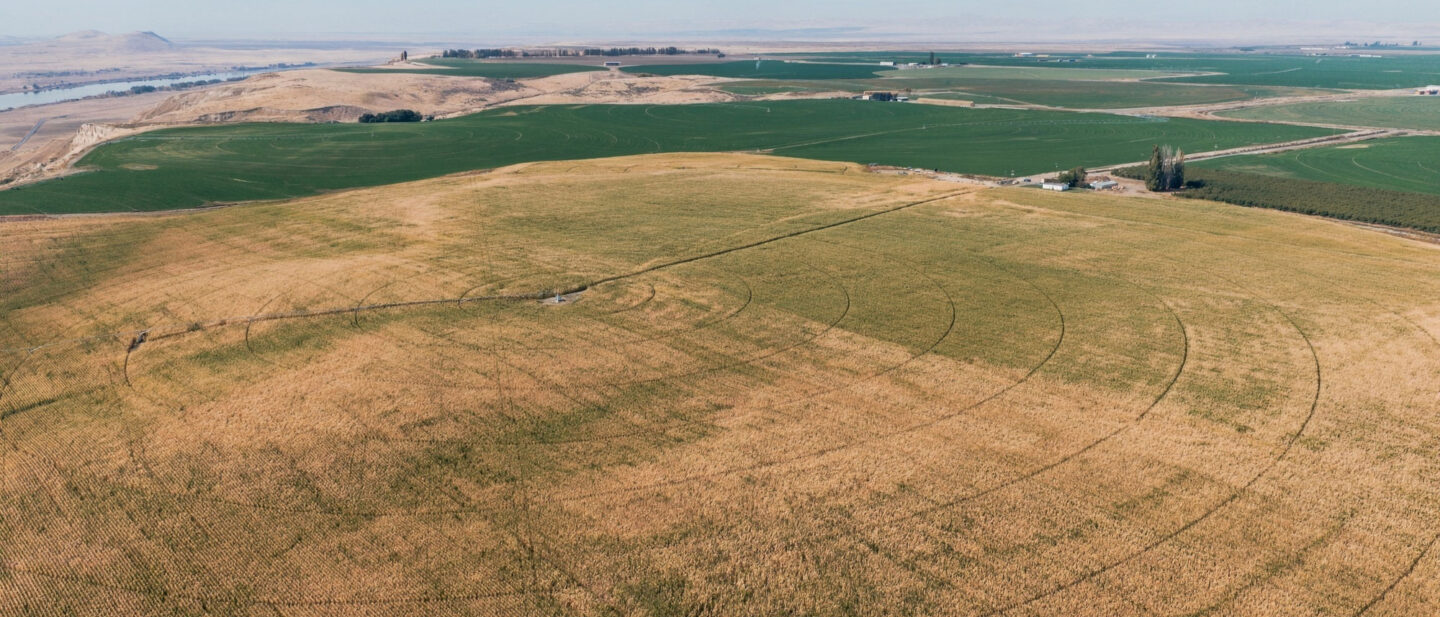 Aerial of Large Center Pivot